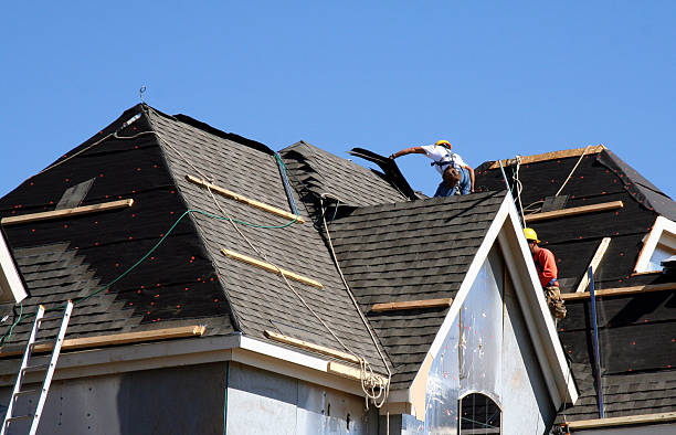 Best Asphalt Shingle Roofing  in Columbia Falls, MT
